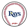 Picture of KR Strikeforce MLB Tampa Bay Rays Round Baseball Shammy